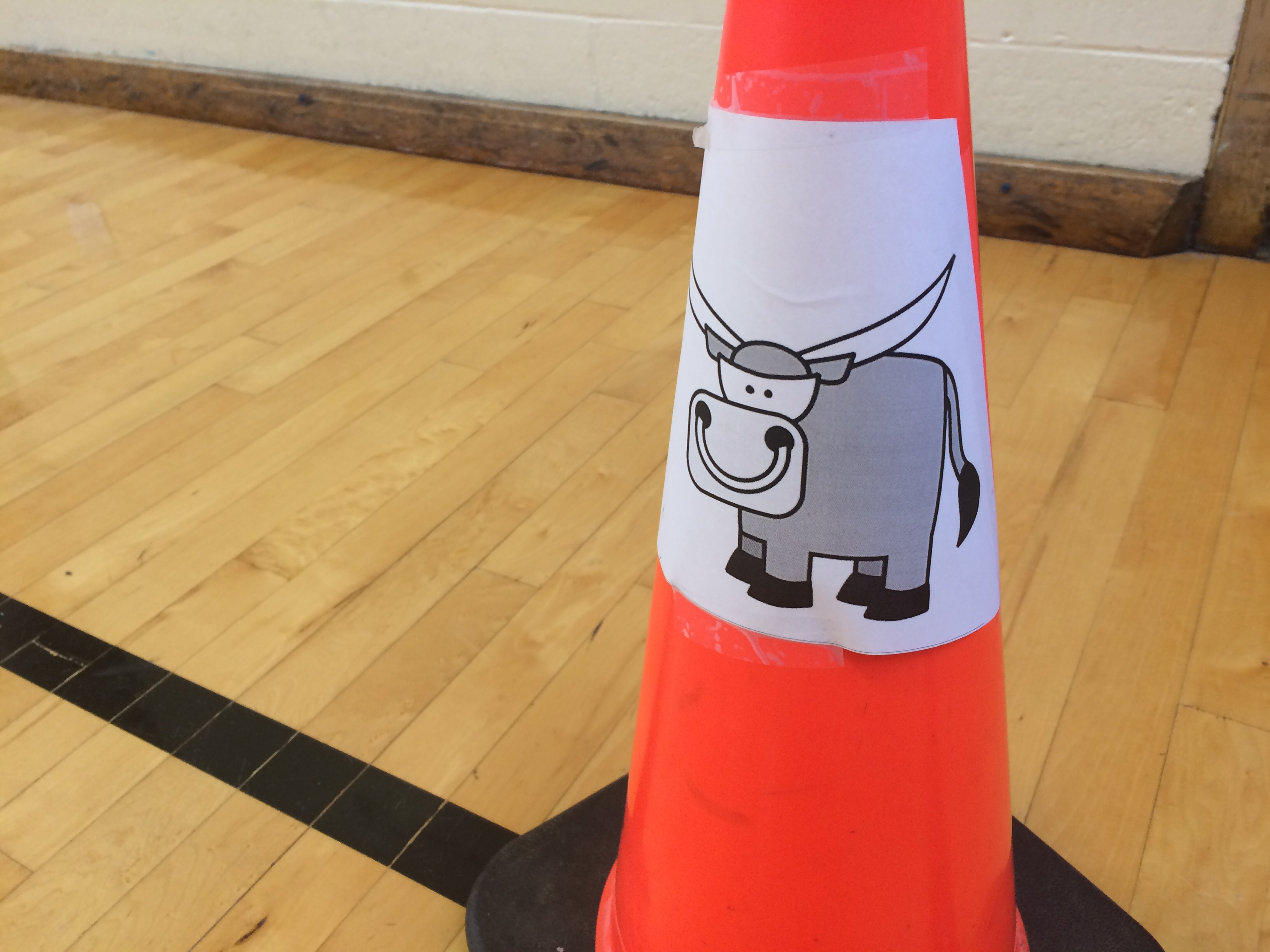 The bull cone for the lasso game